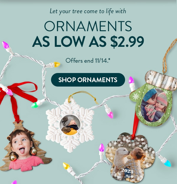 Let your tree come to life with ornaments as low as $2.99. Offers end 11/14. See site for details. Shop Ornaments