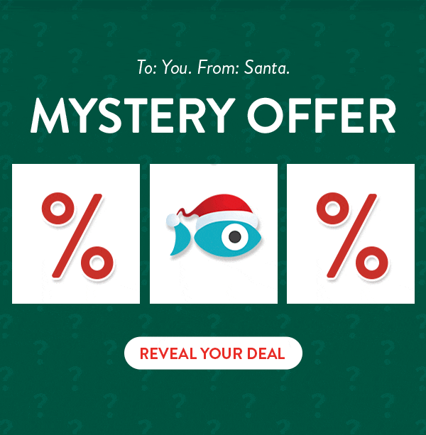 To: You. From: Santa. Mystery offer. Reveal your deal