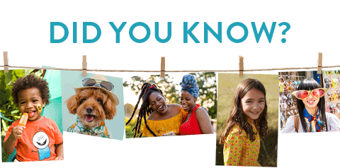 Did You Know?