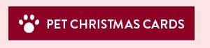 Pet Christmas Cards