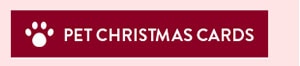 Pet Christmas Cards