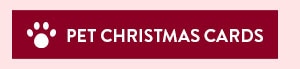 Pet Christmas Cards