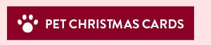 Pet Christmas Cards