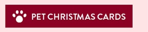 Pet Christmas Cards