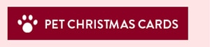 Pet Christmas Cards