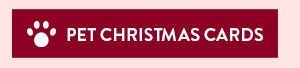 Pet Christmas Cards