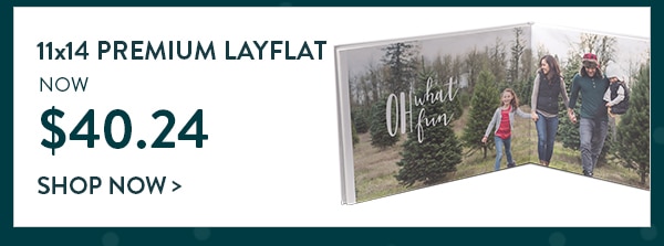 11x14 premium layflat. Now $40.24. Shop now
