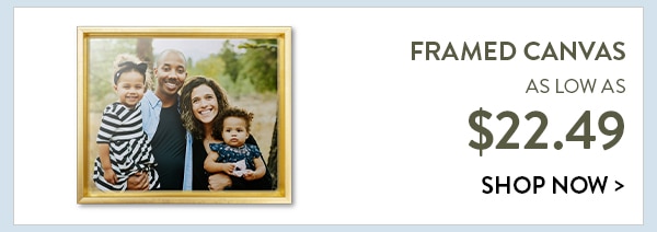 Framed canvas as low as $22.49. Shop now
