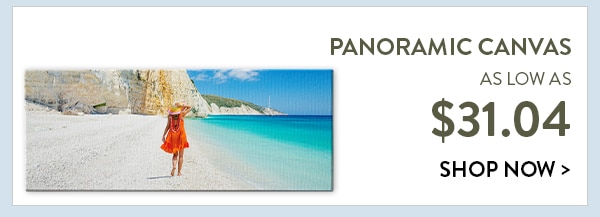 Panoramic canvas as low as $31.04. Shop now. 