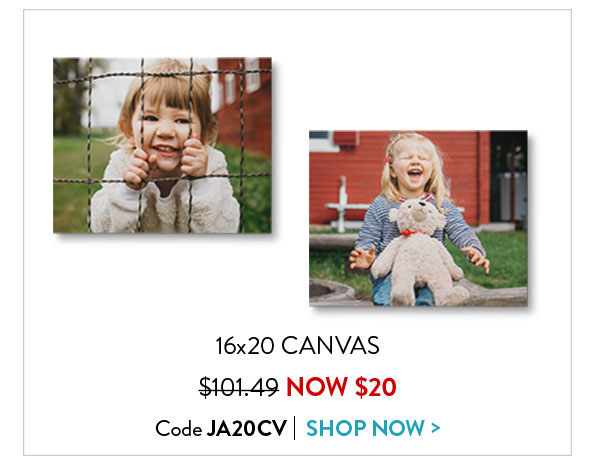 16x20 canvas was $101.49 now $20. Code JA20CV. Shop now