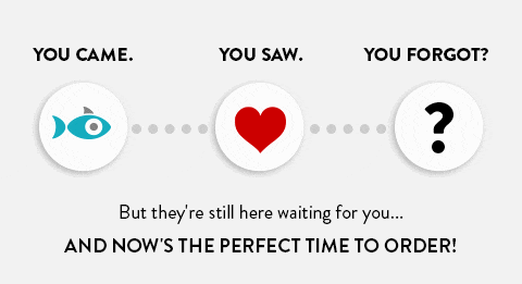 You came. You saw. You Forgot? | But they're still here waiting for you... | And now's the perfect time to get your photo book!